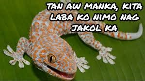 Iyot : r/Bisaya .